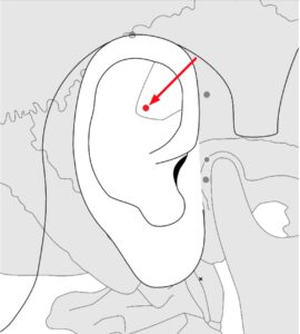 Extra Point Ear Shenmen